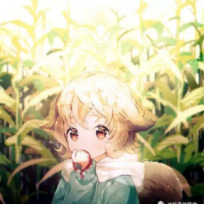 中国已是联合国实际第一会费分摊国